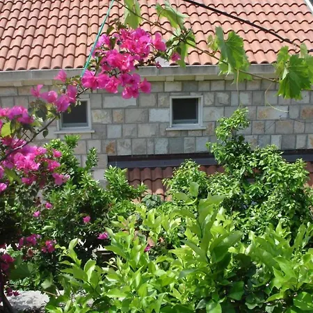 Διαμέρισμα Azure - One Bedroom Marta Saplunara